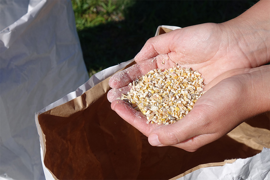 Samen für eine neue 2.000 qm Blühwiese aus 43 verschiedenen mehrjährigen, heimischen Arten