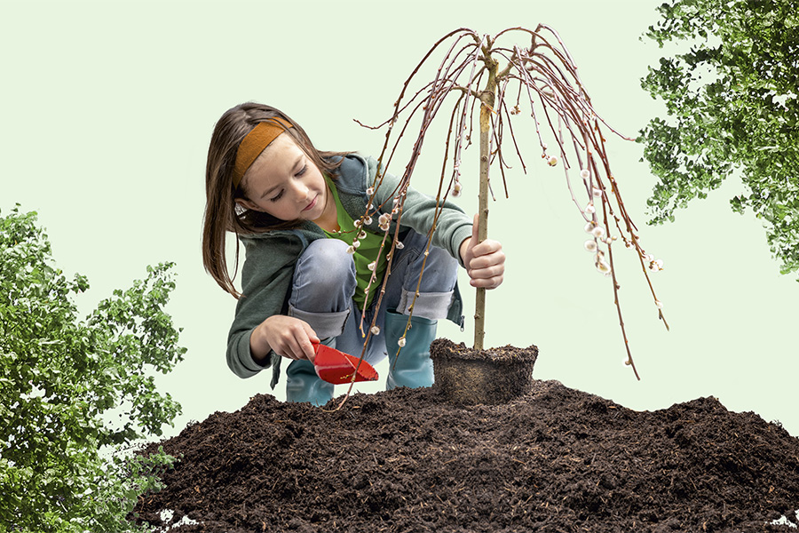 Mädchen pflanzt einen kleinen Baum.