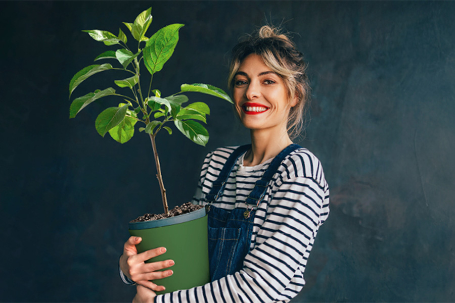 Lachende Frau hält einen eingetopften Baum in den Armen.