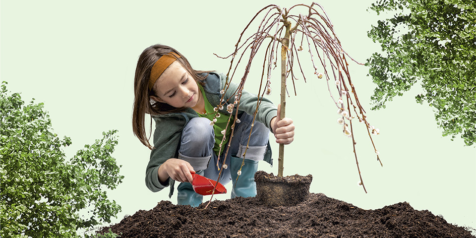 Mädchen pflanzt einen kleinen Baum.