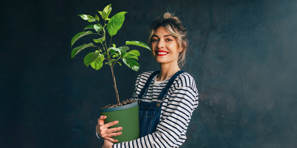 Lachende Frau hält einen eingetopften Baum in den Armen.